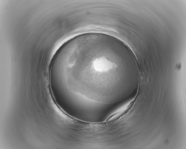 X0000093611531200710291154