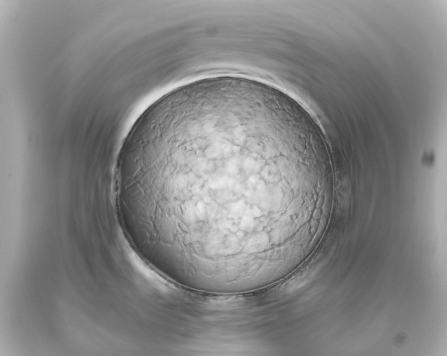 X0000093611535200710291154