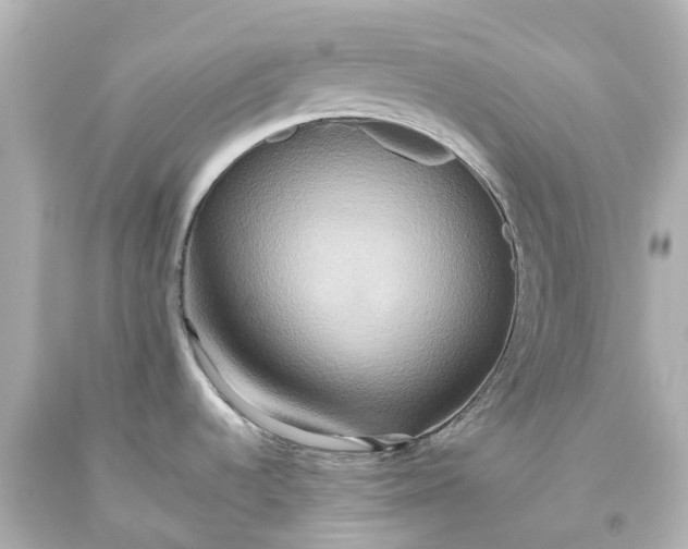 X0000093611536200710291154