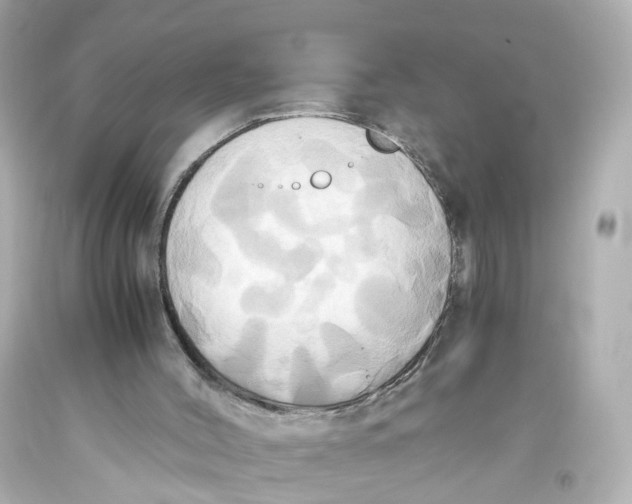 X0000093610004200711051228