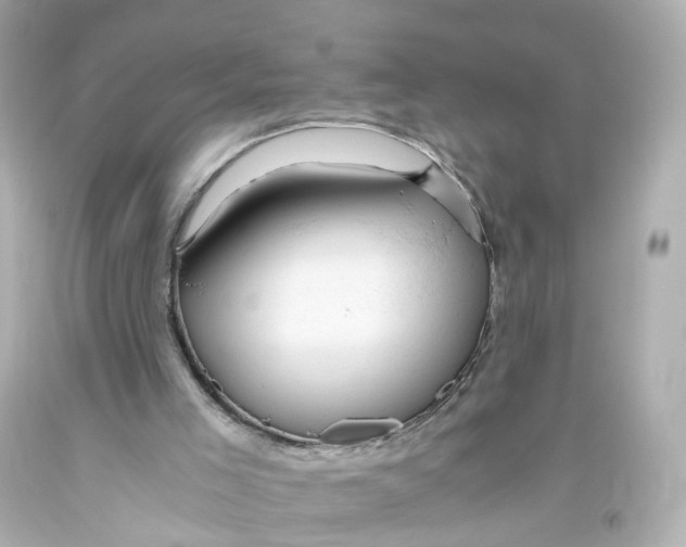 X0000093610005200711051228