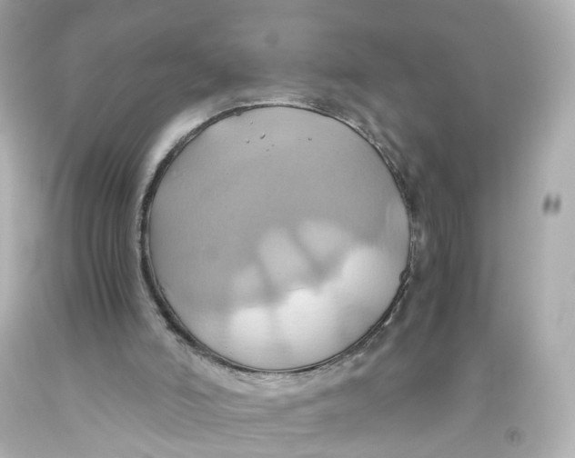 X0000093610006200711051228