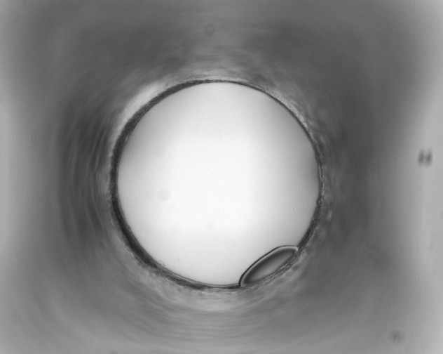 X0000093610008200711051228
