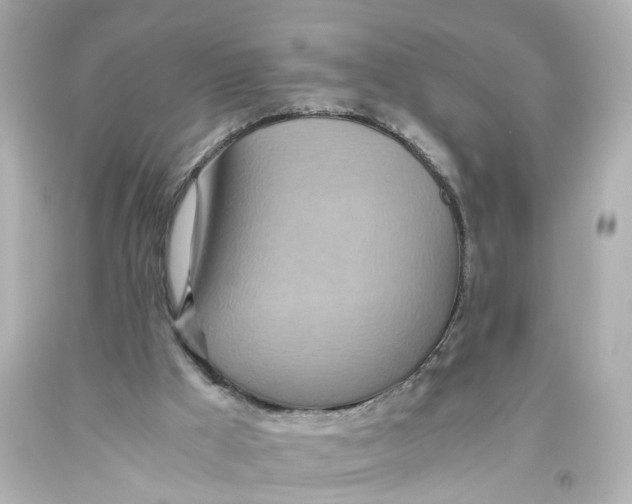 X0000093610009200711051228