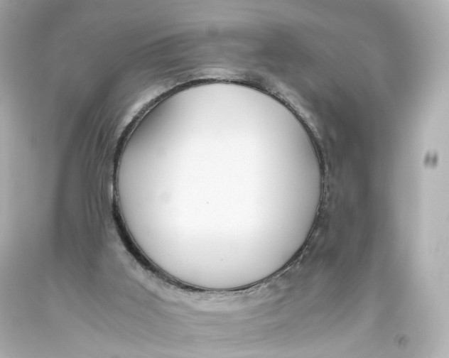 X0000093610011200711051228
