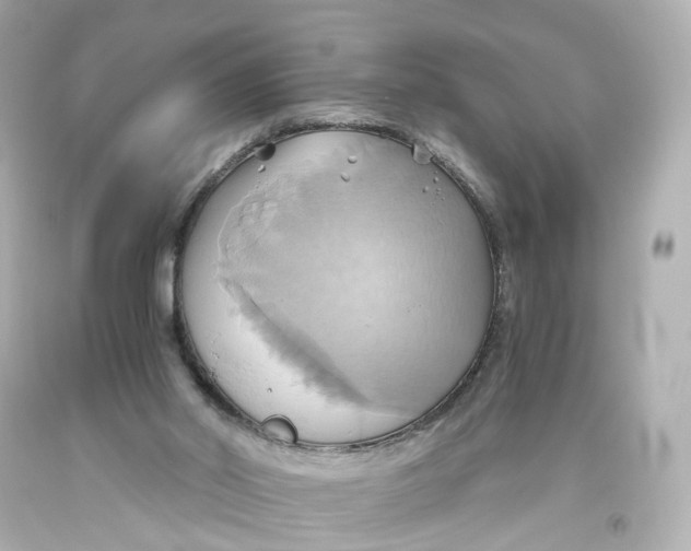 X0000093610014200711051228