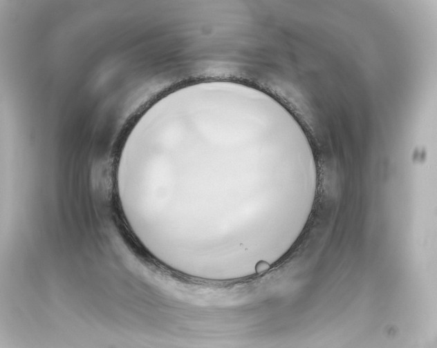 X0000093610016200711051228