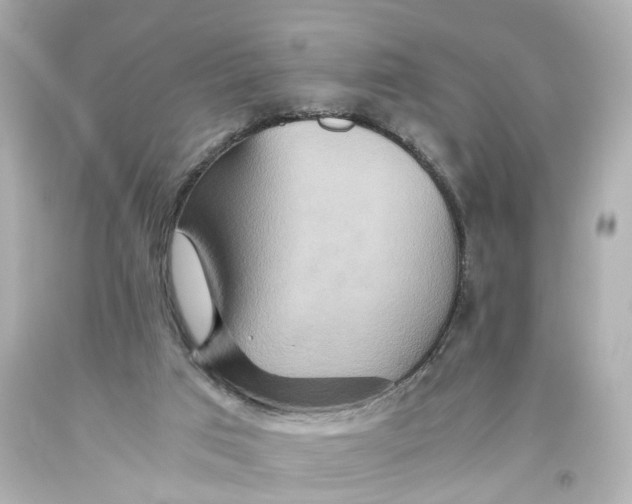 X0000093610017200711051228