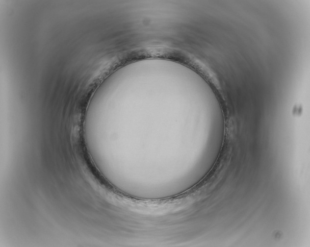 X0000093610018200711051228