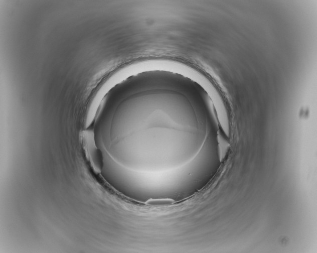 X0000093610019200711051228