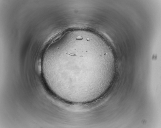 X0000093610020200711051228