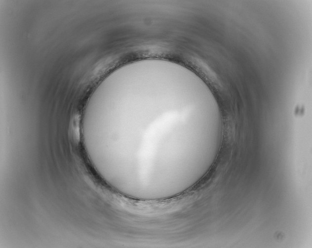 X0000093610022200711051228