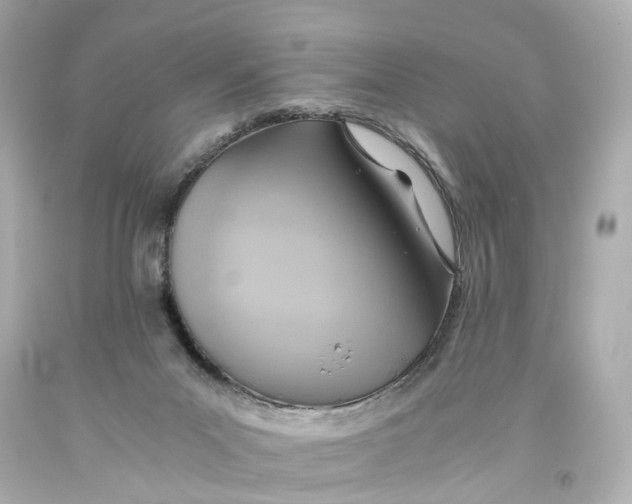 X0000093610023200711051228