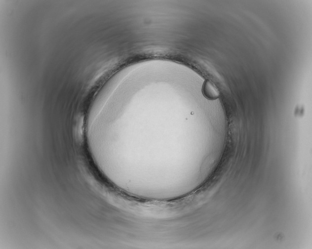 X0000093610024200711051228