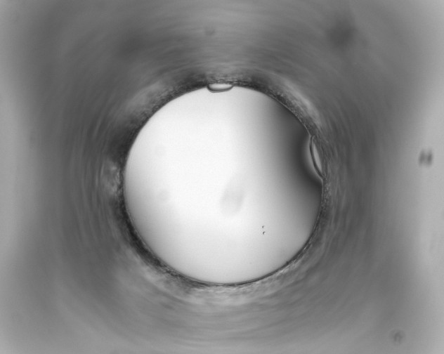 X0000093610025200711051228