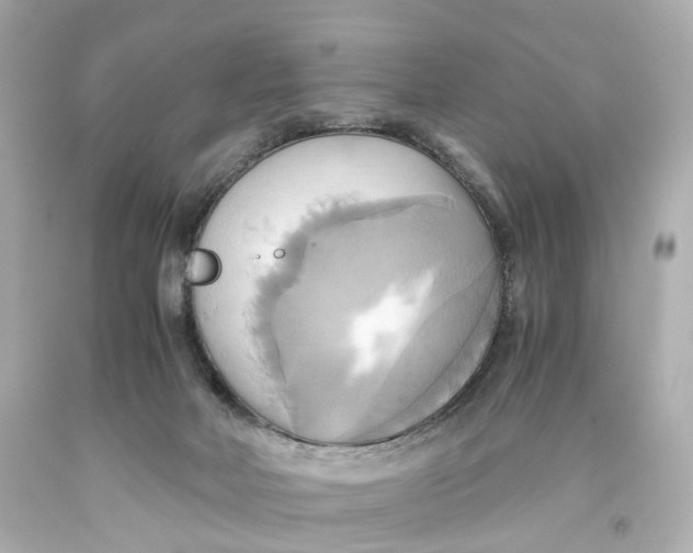 X0000093610026200711051228