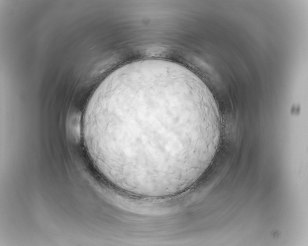 X0000093610028200711051228