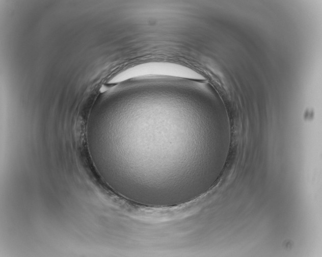 X0000093610029200711051228