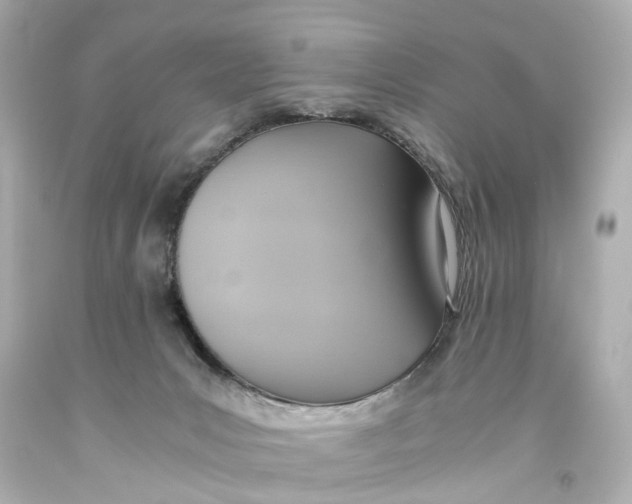 X0000093610031200711051228