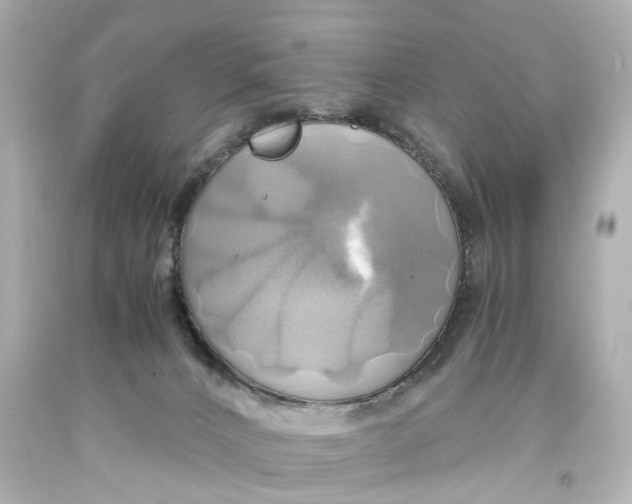 X0000093610032200711051228