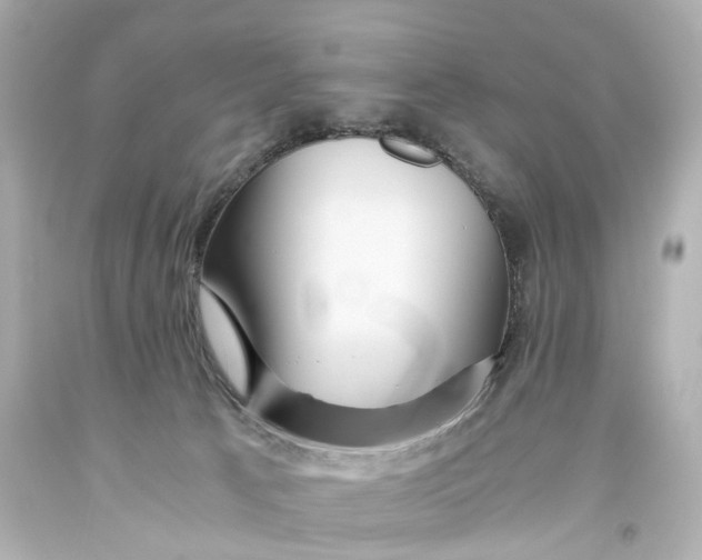 X0000093610033200711051228