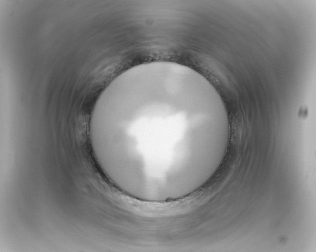 X0000093610034200711051228