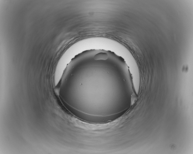 X0000093610035200711051228