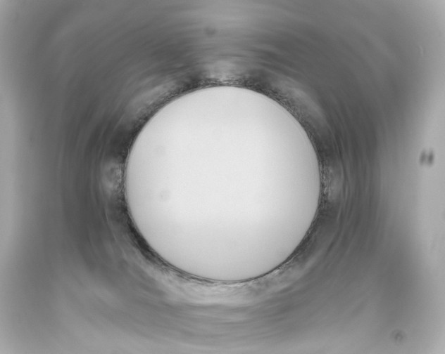X0000093610036200711051228