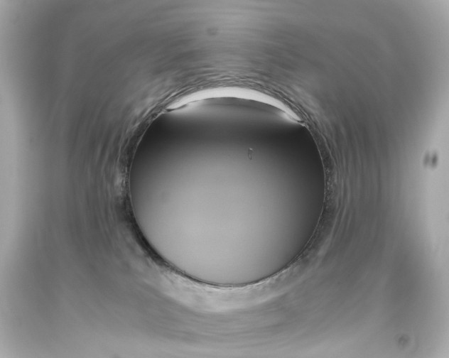 X0000093610039200711051228