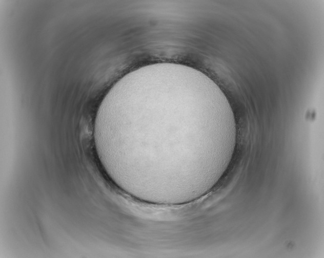X0000093610040200711051228