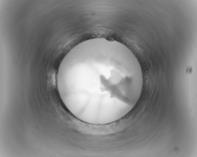 X0000093610042200711051228