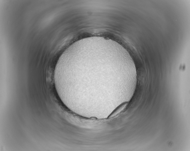 X0000093610044200711051228