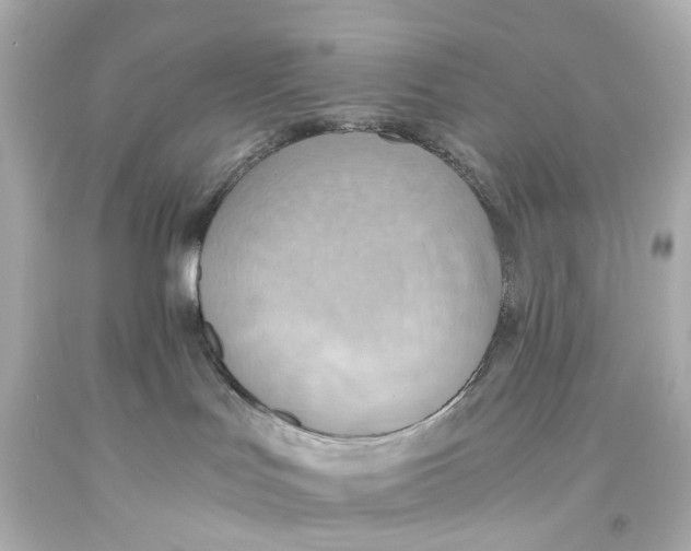 X0000093610047200711051228