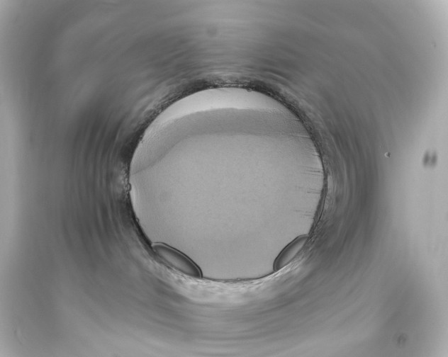 X0000093610048200711051228