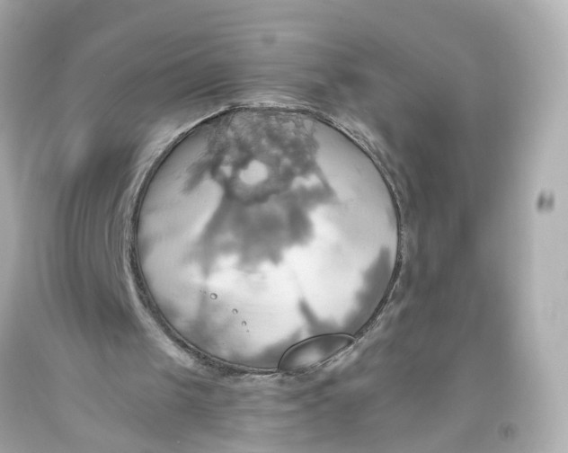 X0000093610049200711051227