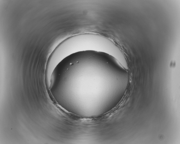 X0000093610052200711051227