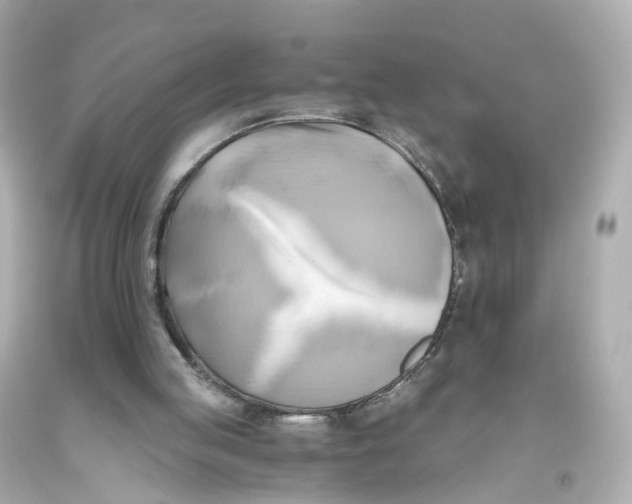 X0000093610053200711051227