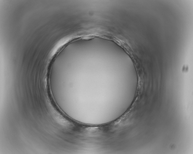 X0000093610054200711051227