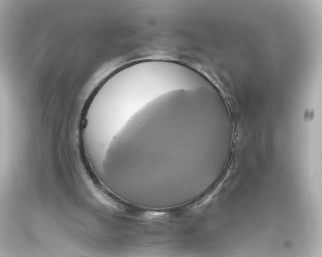 X0000093610055200711051227