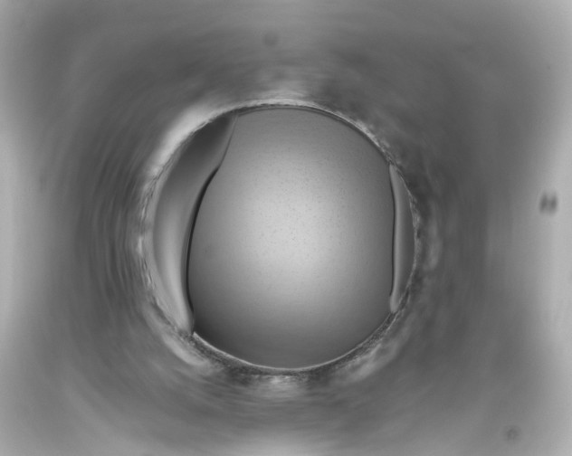 X0000093610056200711051227