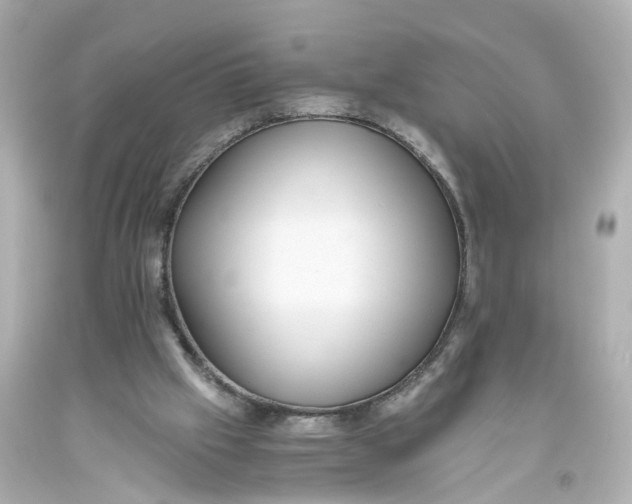 X0000093610057200711051227