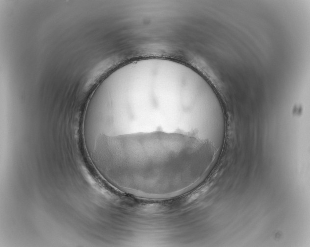 X0000093610058200711051227
