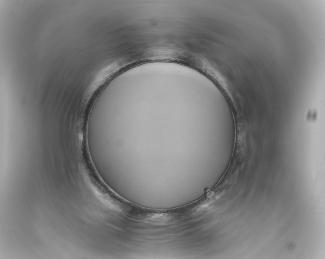 X0000093610059200711051227