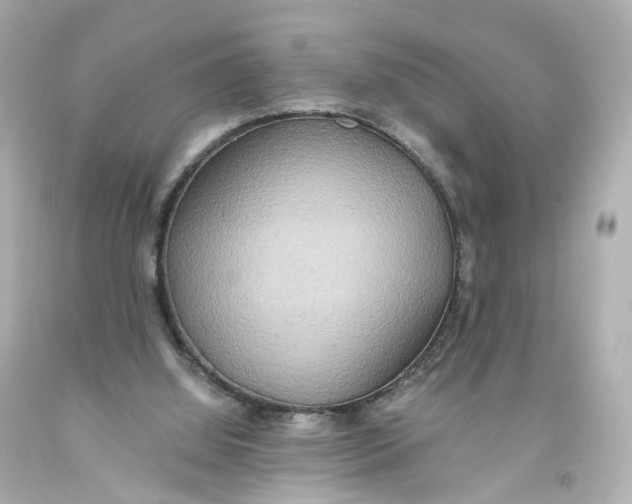 X0000093610060200711051227