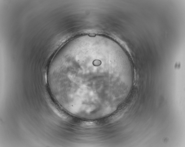 X0000093610061200711051227