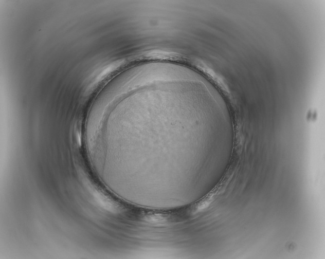 X0000093610062200711051227