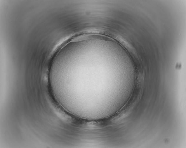 X0000093610064200711051227