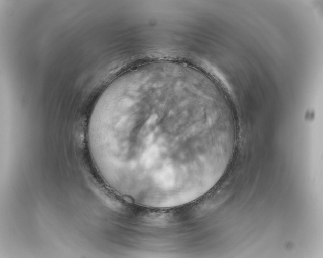 X0000093610065200711051227