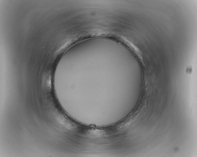 X0000093610067200711051227
