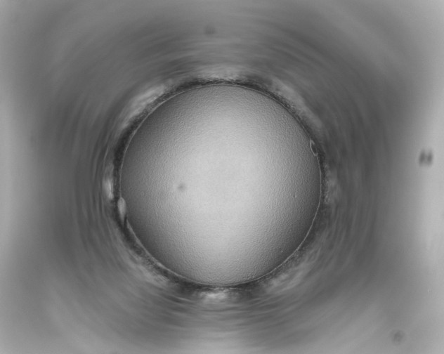 X0000093610068200711051227